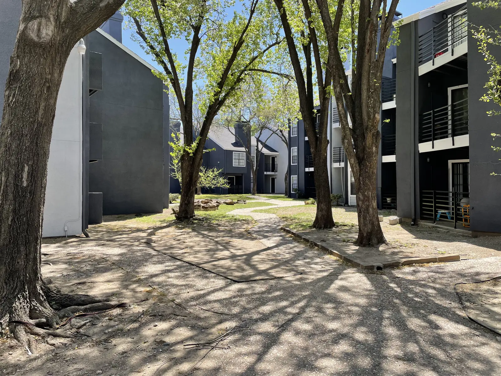 Mature shade trees in the Village Oaks courtyard